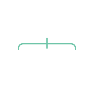 Organization